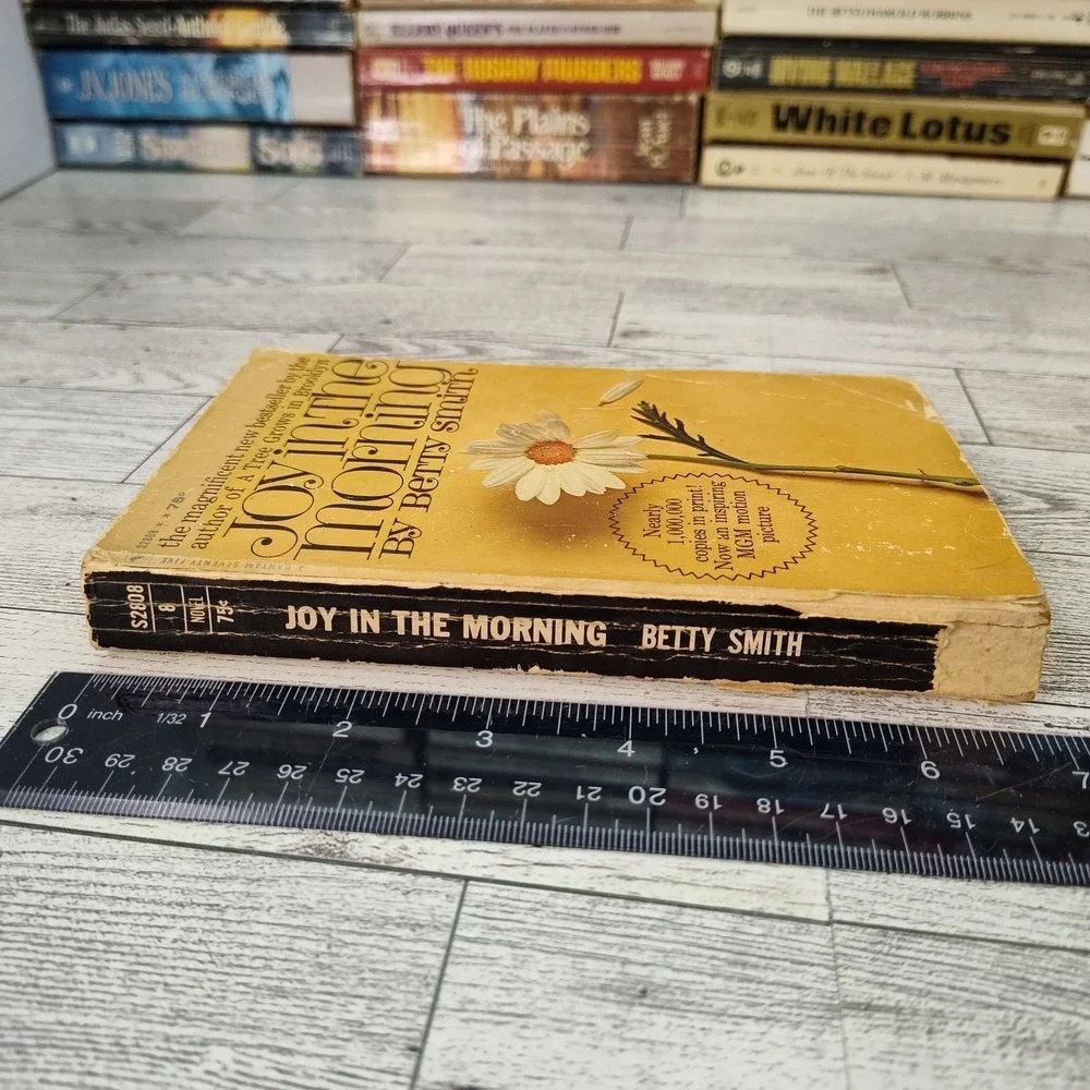 Joy in the Morning Betty Smith 1965 Bantam Paperback Historical‎ Fiction